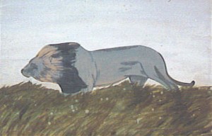 AFRICA