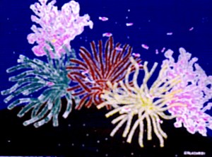 OCEAN GARDEN